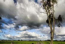 打牌吧下载可靠吗?怎么下载?