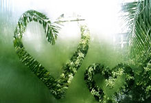 格拉夫夏普vs马斯特里赫特比赛比分会如何?